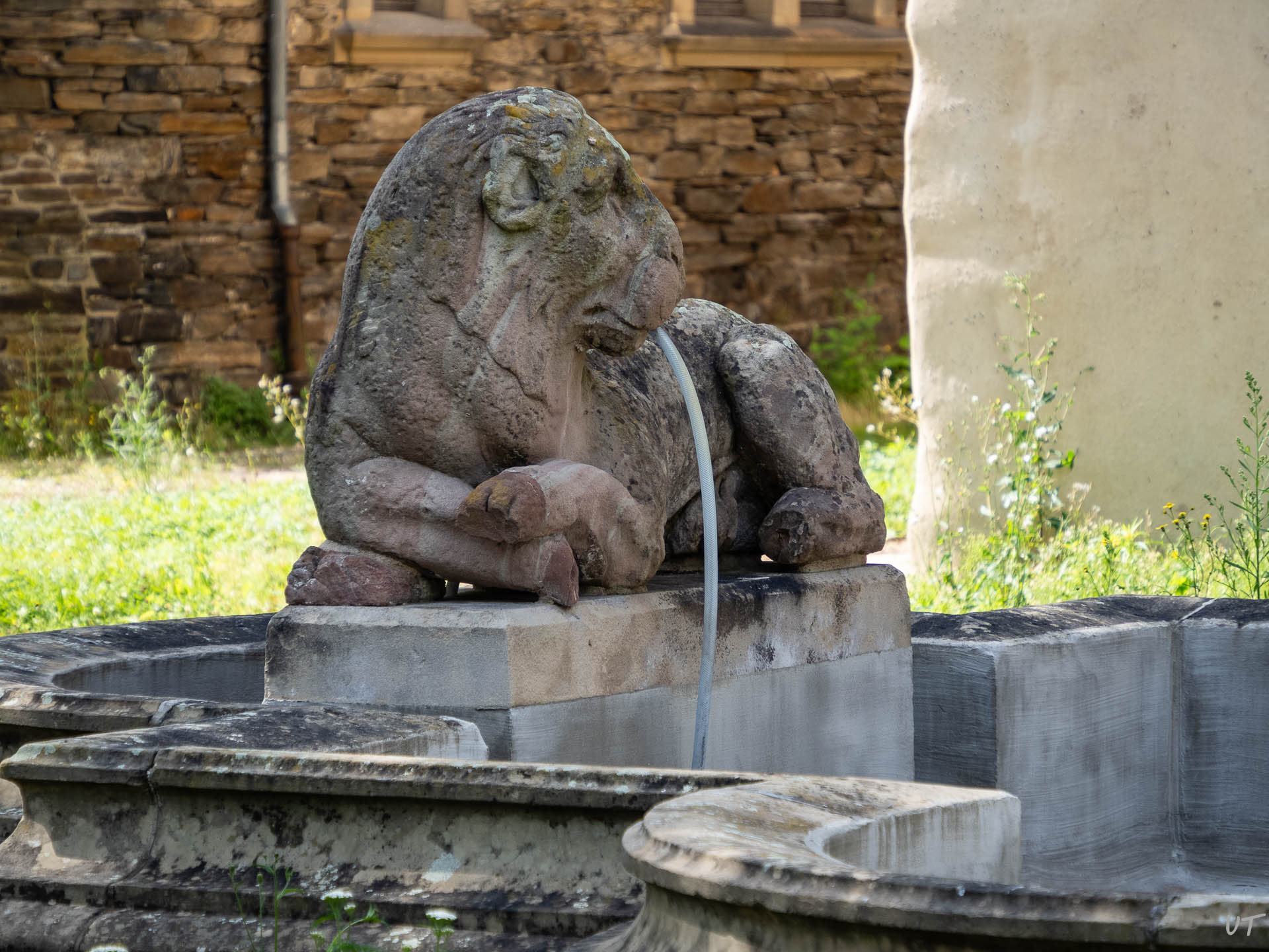 Schloss Liebeig Löwe